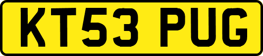 KT53PUG