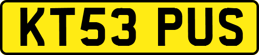 KT53PUS