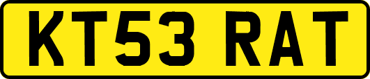 KT53RAT
