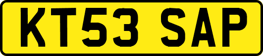 KT53SAP