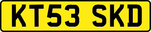 KT53SKD