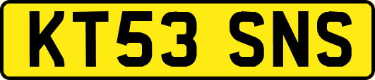 KT53SNS