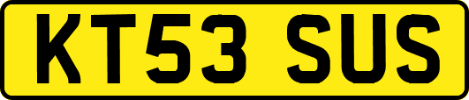 KT53SUS