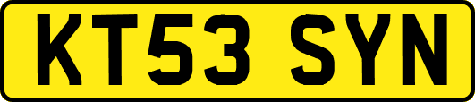 KT53SYN
