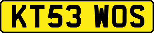 KT53WOS