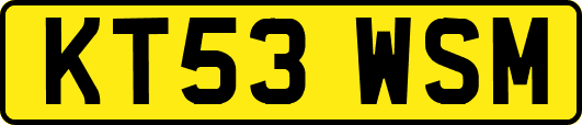 KT53WSM