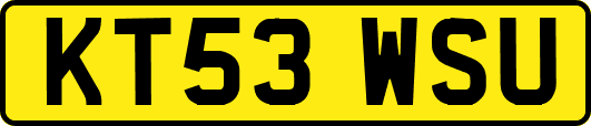 KT53WSU