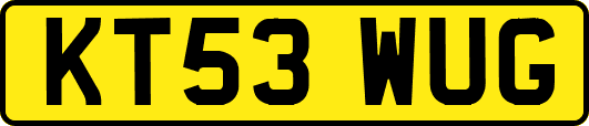 KT53WUG