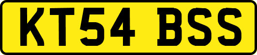 KT54BSS