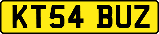 KT54BUZ
