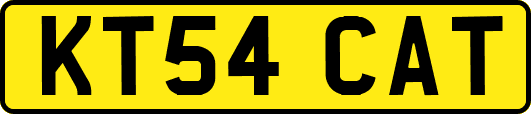 KT54CAT