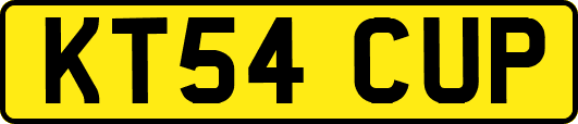 KT54CUP