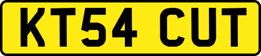 KT54CUT