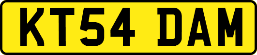 KT54DAM