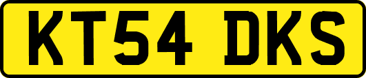 KT54DKS