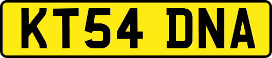 KT54DNA