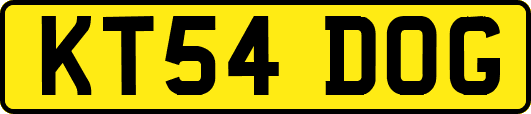 KT54DOG
