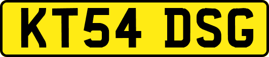 KT54DSG