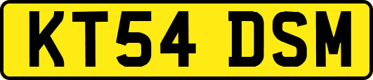 KT54DSM