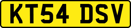 KT54DSV