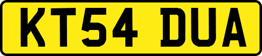KT54DUA
