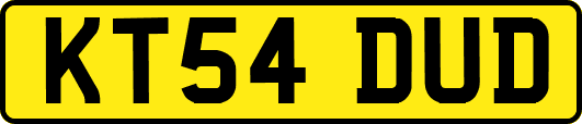 KT54DUD