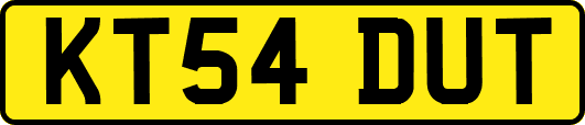 KT54DUT