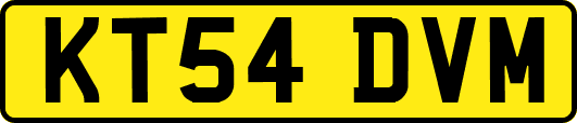 KT54DVM