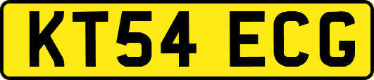KT54ECG
