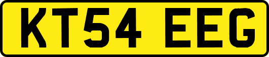 KT54EEG
