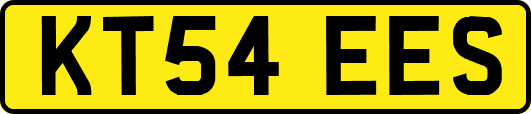 KT54EES