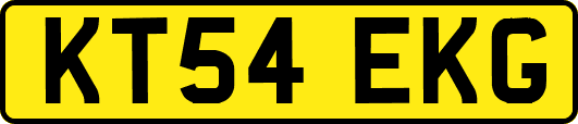 KT54EKG