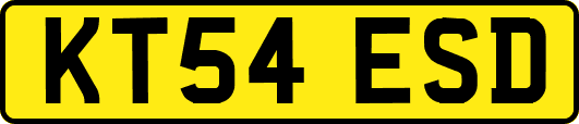 KT54ESD