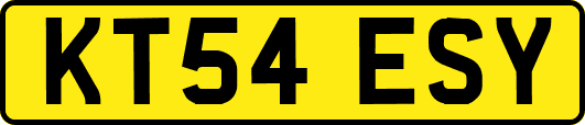 KT54ESY