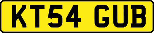 KT54GUB