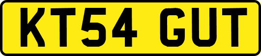KT54GUT