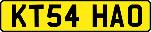 KT54HAO