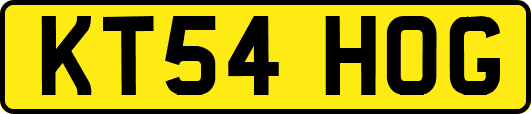 KT54HOG