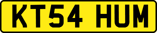 KT54HUM