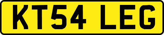 KT54LEG