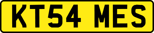 KT54MES