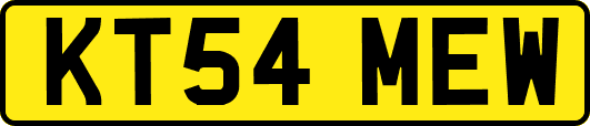 KT54MEW