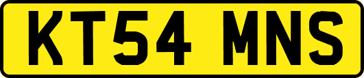 KT54MNS