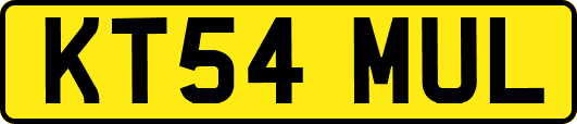 KT54MUL