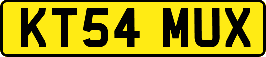 KT54MUX