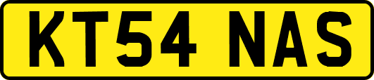 KT54NAS