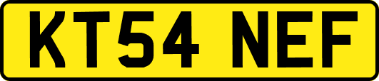KT54NEF