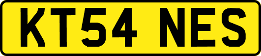 KT54NES