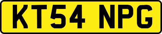 KT54NPG