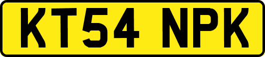 KT54NPK